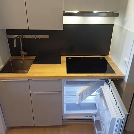 Einraum Mit Berg- Und Seeblick Appartement *